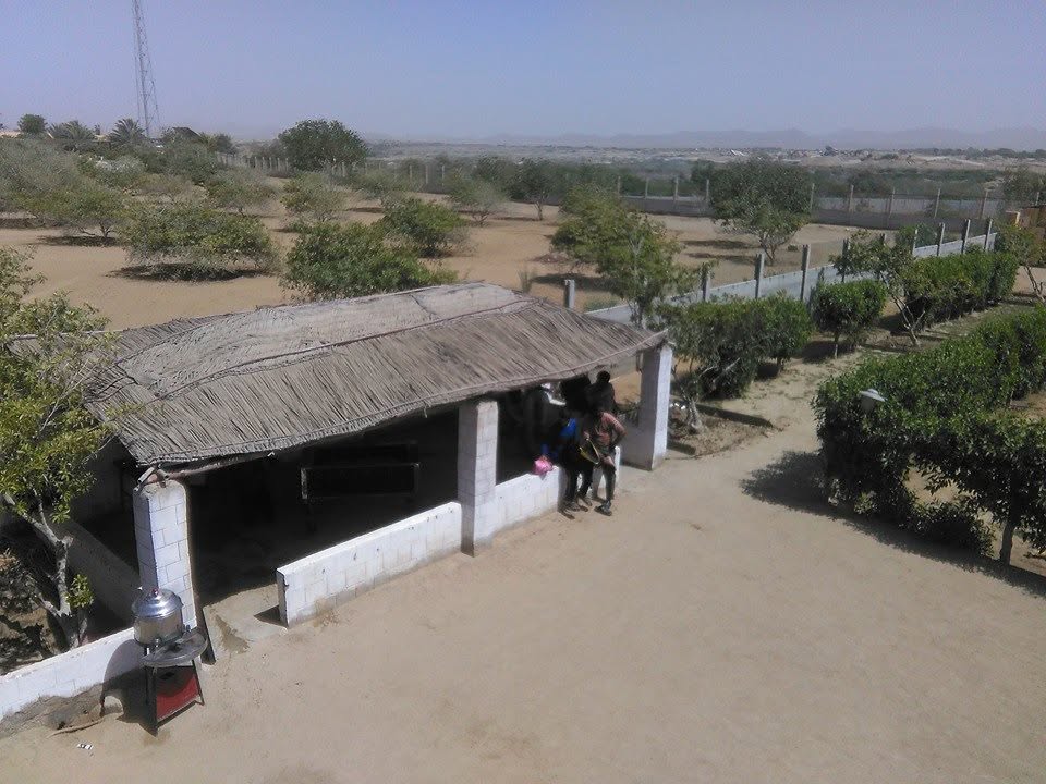 Sherwani Farms gallery 5